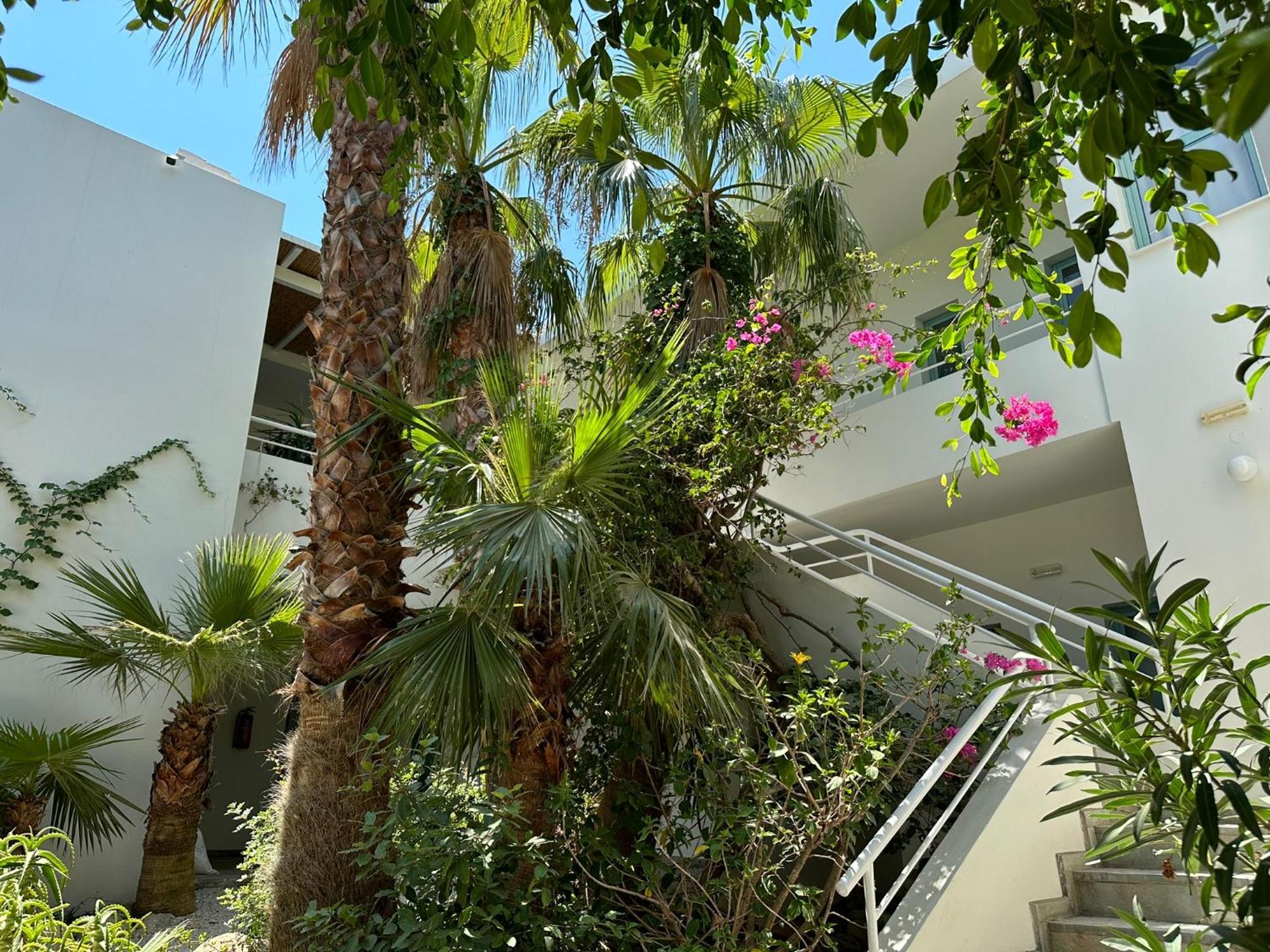 Hotel Plakures Falasarna Extérieur photo